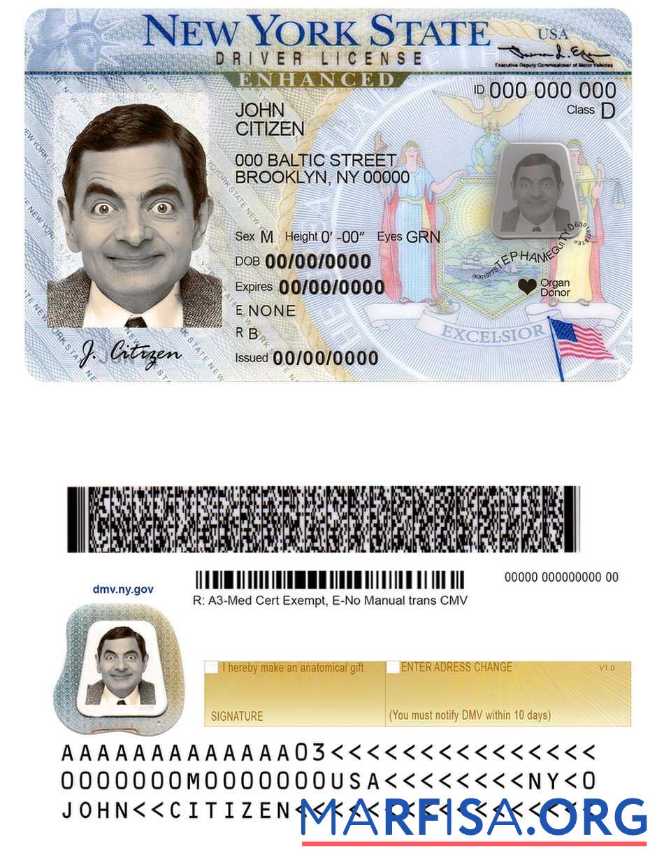 Realistic USA New York DL template